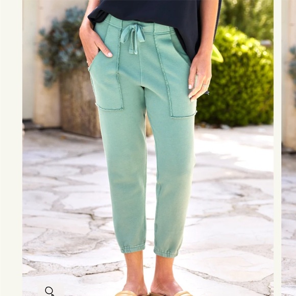 Frank & Eileen | Pants & Jumpsuits | Frank And Eileen Eamon Jogger  display picture 1